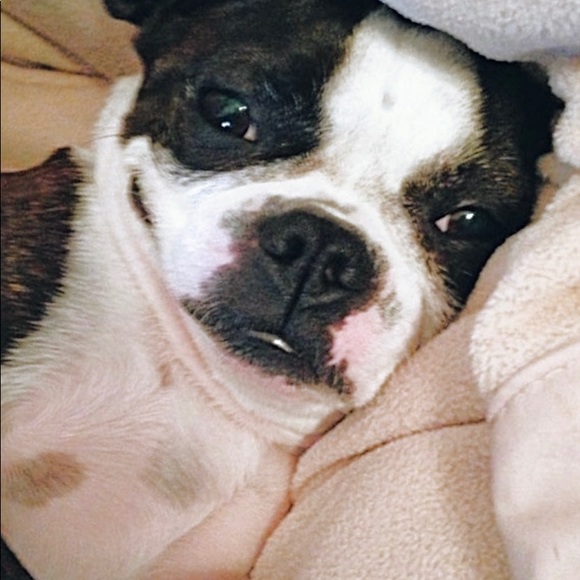 Meet your Posher, Alex - Picture 1 of 3